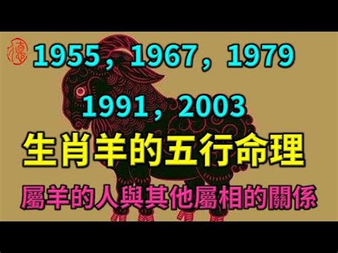 2003是什麼年 立的五行